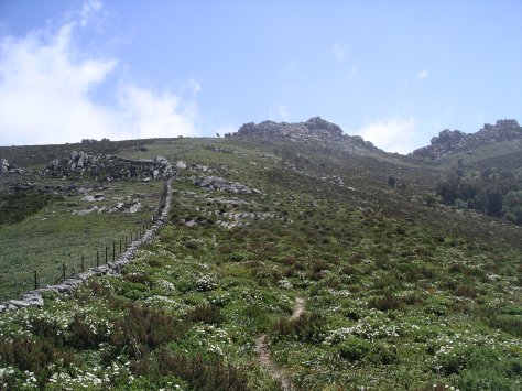 Fotos de cámara 021