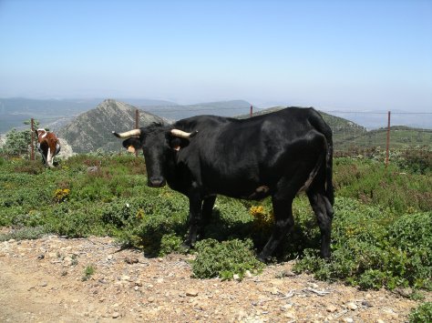 Fotos de cámara 028