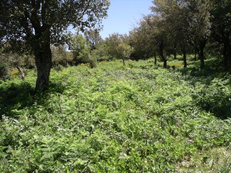 Fotos de cámara 031