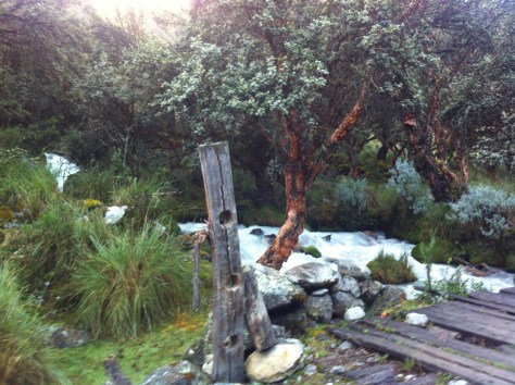 Alrededores del campamento.