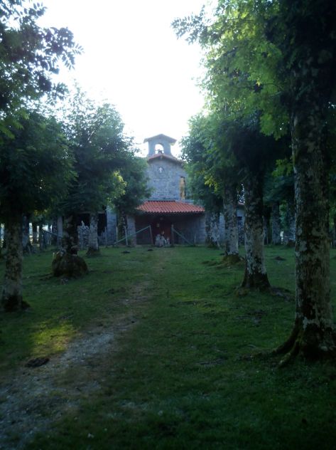 Precioso paisaje por el bosque de hayas.
