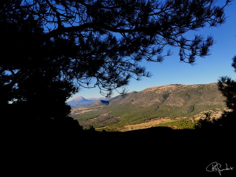 Ruta Cumbre Los Obispos y Revolcadores-Murcia 7-11-15...f6