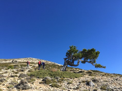 Subida a La Sagra-Granada 8-11-15...f62