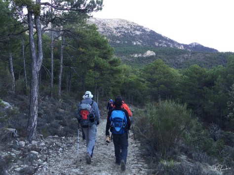 Subida a La Sagra-Granada 8-11-15...f9