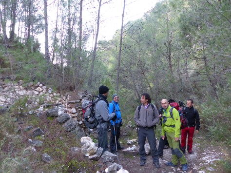 12 de diciembre cisne 002