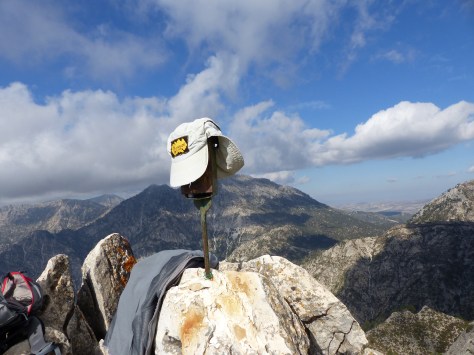 12 de diciembre cisne 046