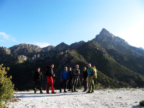 El grupo y el Cisne.