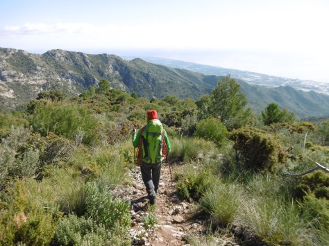 Senda durante el descenso.