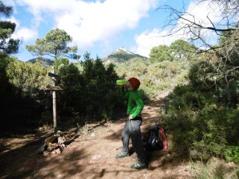 En el cruce de la Calaña cerca de la Casa del Pino.