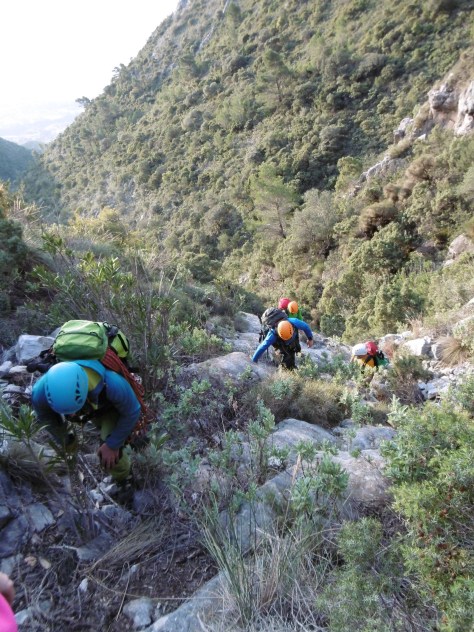 El resto también esta subiendo.