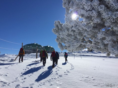 Foto del grupo en dirección al observatorio.