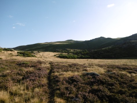 Detalle de la senda durante el ascenso.