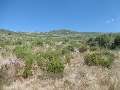 Vistas de la zona durante la bajada.