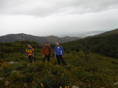 Cortafuegos, al fondo la bahía de Algeciras.